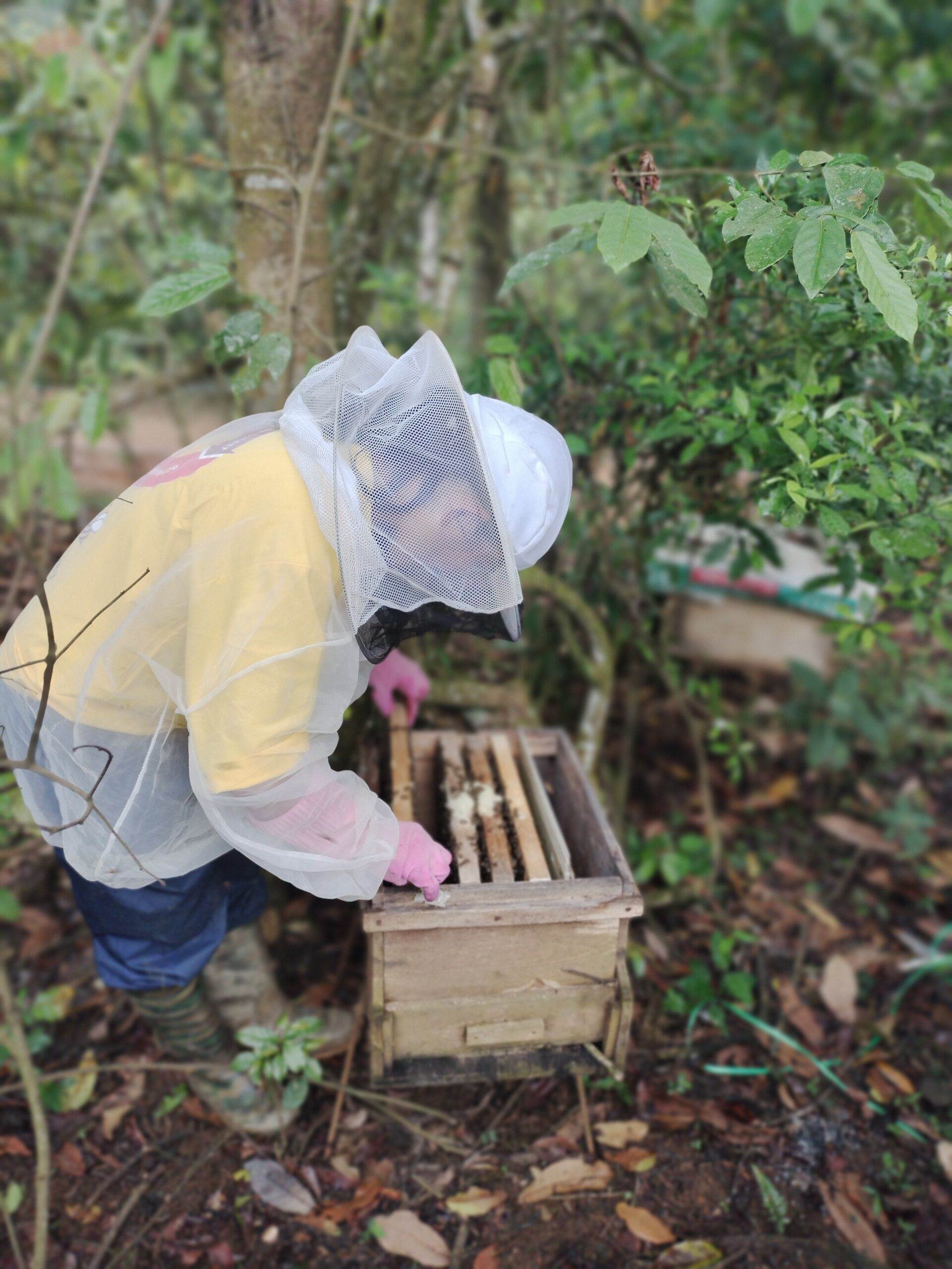 Karuna’s Adopt a Beehive