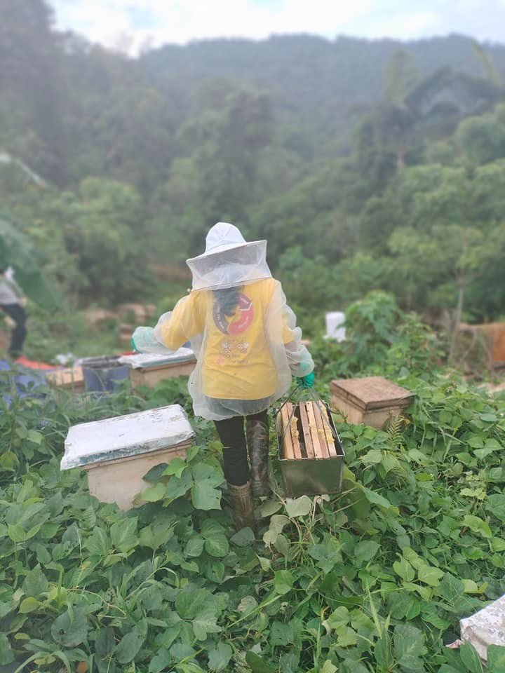 Sustainable Beekeeping Practices