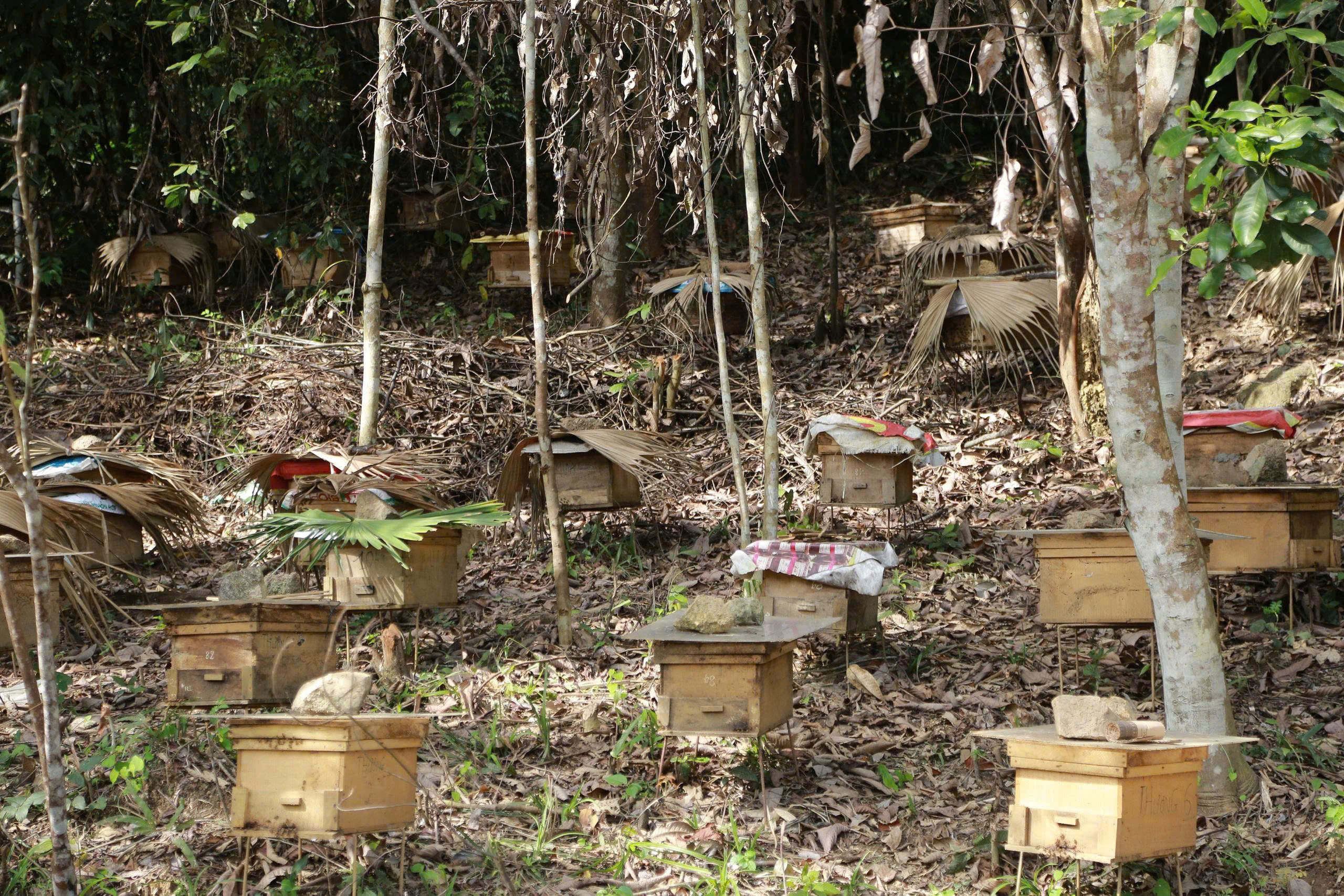 Join the movement today