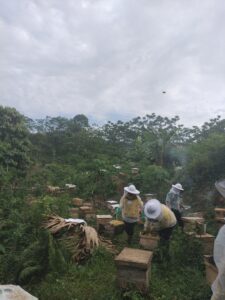 How adopt a hive now works