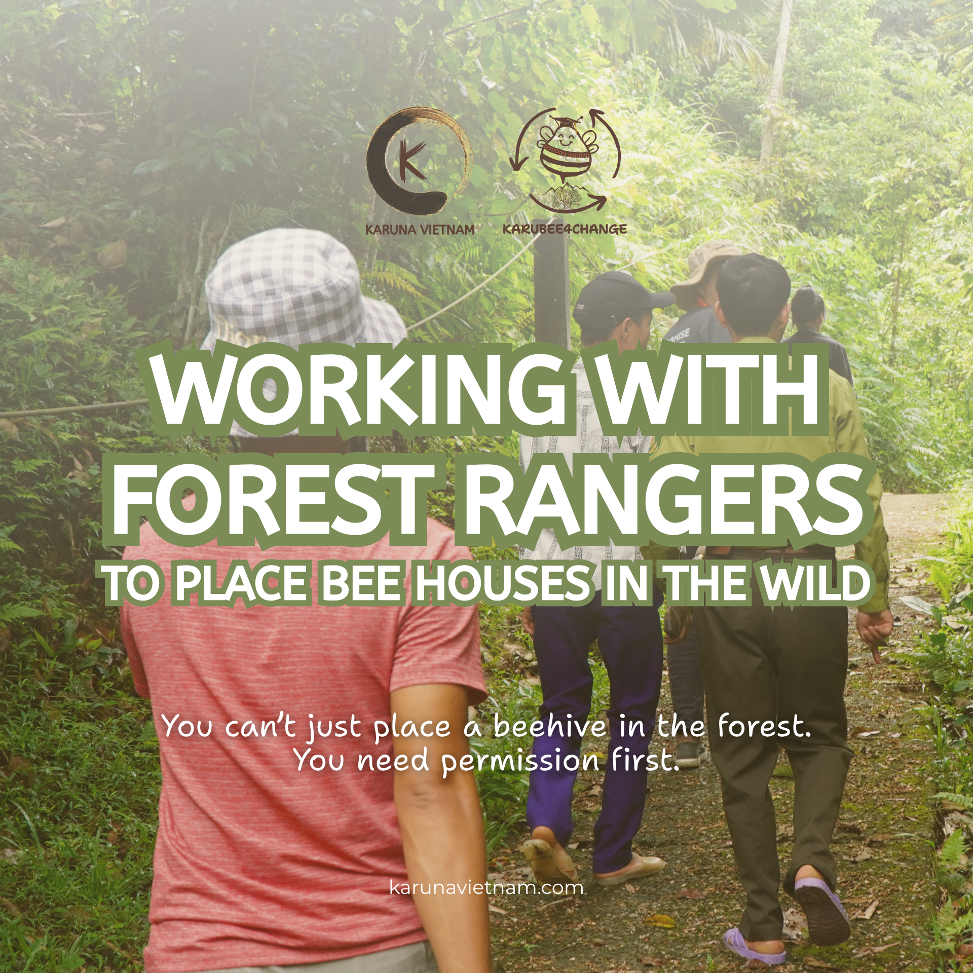 🐝 WORKING WITH FOREST RANGERS TO PLACE BEE HOUSES IN THE WILD - Happy ...